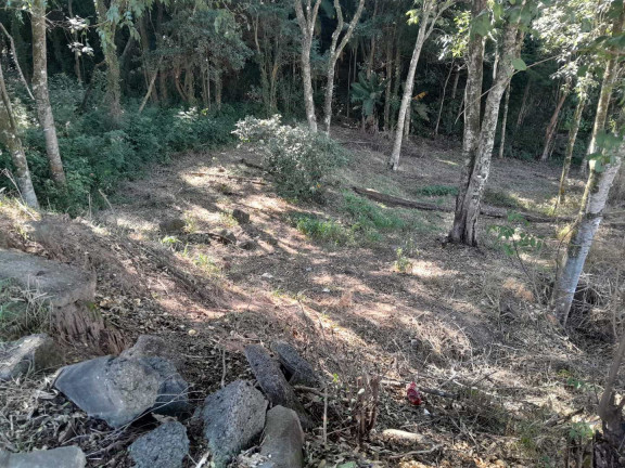 Terreno à Venda, 328 m² em Jardim Secol - Piedade