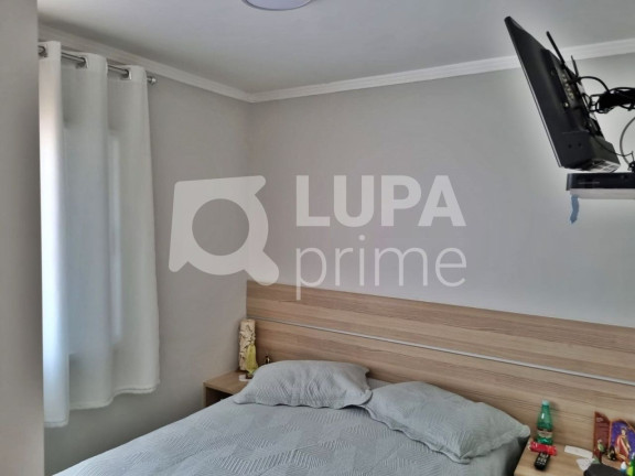 Imagem Apartamento com 3 Quartos à Venda, 70 m² em Vila Maria - São Paulo Imagem Apartamento com 3 Quartos à Venda, 70 m² em Vila Maria - São Paulo