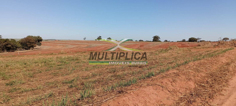 Imagem Fazenda à Venda, 198 m² em Comendador Gomes Imagem Fazenda à Venda, 198 m² em Comendador Gomes