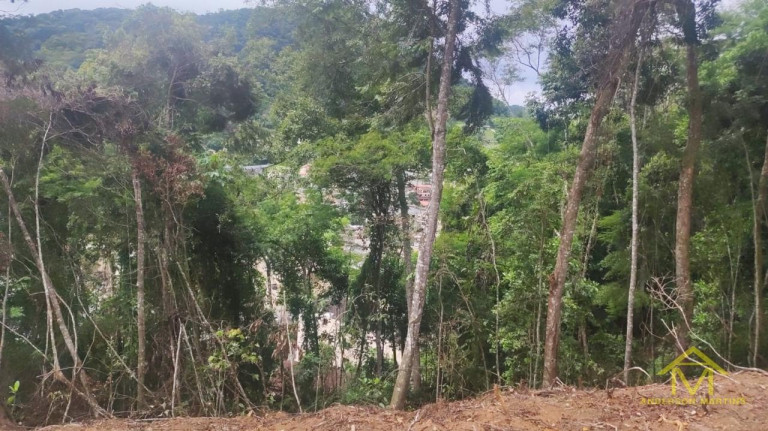 Imagem Fazenda à Venda, 1 m² em Pedra Azul - Venda Nova Do Imigrante Imagem Fazenda à Venda, 1 m² em Pedra Azul - Venda Nova Do Imigrante
