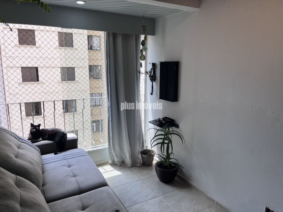 Imagem Apartamento com 2 Quartos à Venda, 55 m² em Vila Mascote - São Paulo