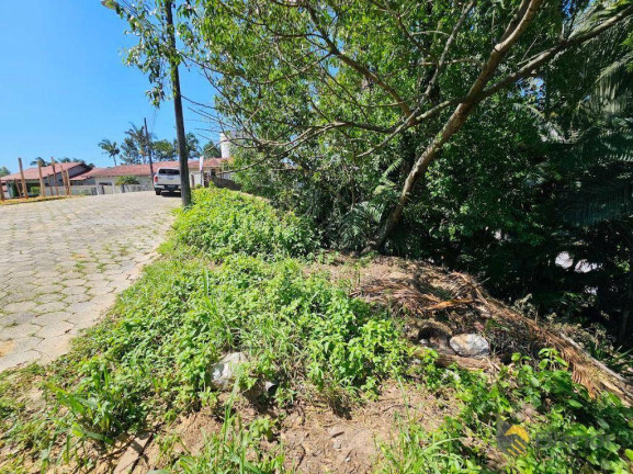 Imagem Terreno à Venda, 500 m² em Escola Agrícola - Blumenau Imagem Terreno à Venda, 500 m² em Escola Agrícola - Blumenau