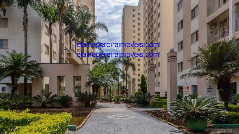 Imagem Apartamento com 3 Quartos à Venda, 65 m² em Jardim Caboré - São Paulo Imagem Apartamento com 3 Quartos à Venda, 65 m² em Jardim Caboré - São Paulo