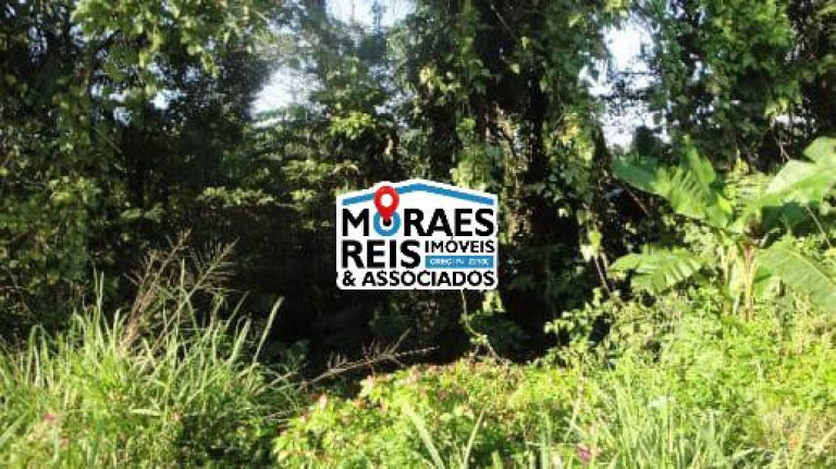 Imagem Terreno à Venda, 42.580 m² em Praia Do Arrastão - São Sebastião Imagem Terreno à Venda, 42.580 m² em Praia Do Arrastão - São Sebastião