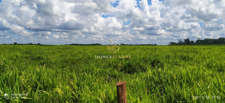 Imagem Imóvel com 3 Quartos à Venda, 423 m² em Zona Rural - Turvelândia Imagem Imóvel com 3 Quartos à Venda, 423 m² em Zona Rural - Turvelândia
