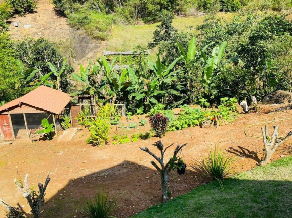 Imagem Imóvel com 4 Quartos à Venda, 70.000 m² em Santa Isabel - Domingos Martins Imagem Imóvel com 4 Quartos à Venda, 70.000 m² em Santa Isabel - Domingos Martins