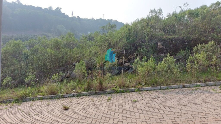 Imagem Terreno à Venda, 375 m² em Barracão - Bento Gonçalves Imagem Terreno à Venda, 375 m² em Barracão - Bento Gonçalves