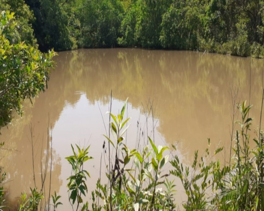 Imagem Imóvel com 1 Quarto à Venda,  em Vila Rica - Presidente Lucena