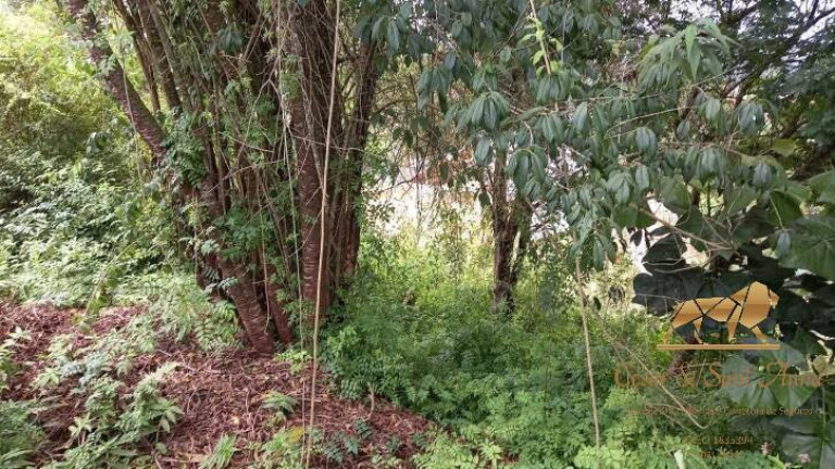 Imagem Terreno à Venda, 668 m² em V Cristina - Campos Do Jordão Imagem Terreno à Venda, 668 m² em V Cristina - Campos Do Jordão