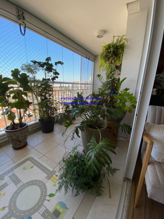 Imagem Apartamento com 3 Quartos à Venda, 105 m² em Butanta - São Paulo Imagem Apartamento com 3 Quartos à Venda, 105 m² em Butanta - São Paulo