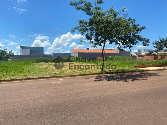 Terreno à Venda, 250 m² em Parque Das árvores Ii - Birigui