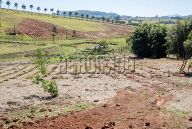 Imagem Terreno à Venda, 300 m² em Bom Retiro - Bragança Paulista Imagem Terreno à Venda, 300 m² em Bom Retiro - Bragança Paulista