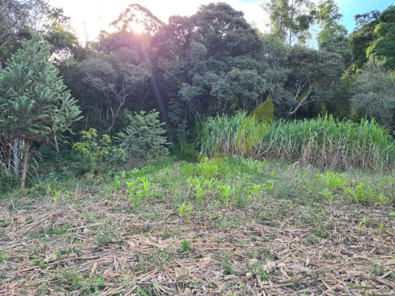 Imagem Chácara com 2 Quartos à Venda, 55.000 m² em Piracaia - Piracaia Imagem Chácara com 2 Quartos à Venda, 55.000 m² em Piracaia - Piracaia