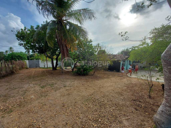 Imagem Fazenda à Venda, 2.000 m² em Zona Rural - São José De Mipibu Imagem Fazenda à Venda, 2.000 m² em Zona Rural - São José De Mipibu