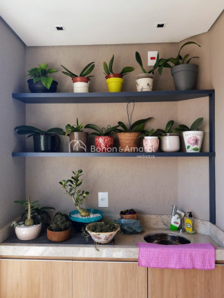 Imagem Apartamento com 1 Quarto à Venda, 55 m² em Jardim Proença - Campinas Imagem Apartamento com 1 Quarto à Venda, 55 m² em Jardim Proença - Campinas