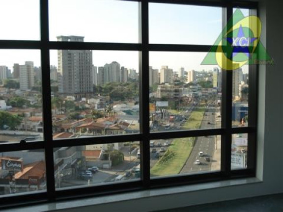 Imagem Sala Comercial para Alugar, 238 m² em Cambuí - Campinas Imagem Sala Comercial para Alugar, 238 m² em Cambuí - Campinas