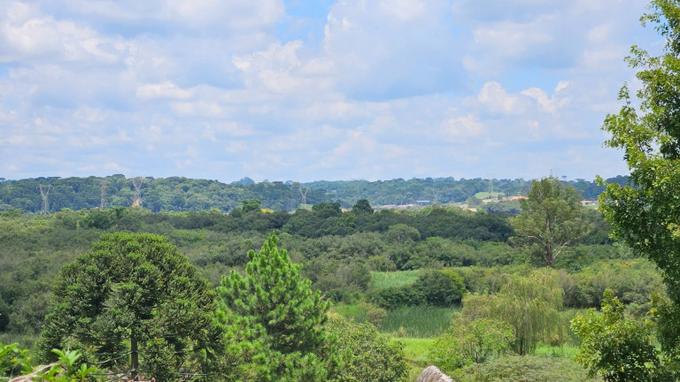 Fazenda à Venda,  em Iguaçu - Araucaria