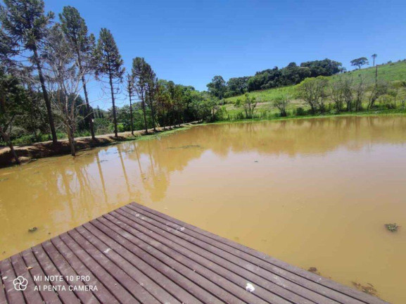 Imagem Chácara com 3 Quartos à Venda, 73.000 m² em Pires - Piedade