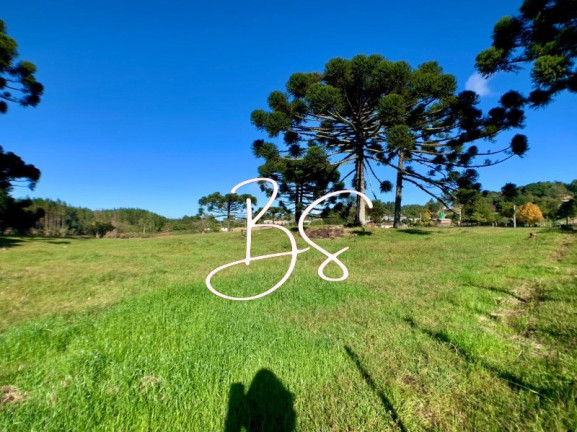 Imagem Imóvel com 2 Quartos à Venda, 40.000 m² em Serra Grande - Gramado