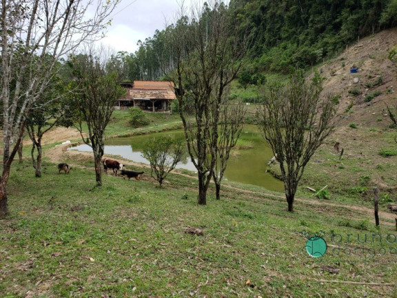Imagem Imóvel com 3 Quartos à Venda, 250.000 m² em Zona Rural - Bom Retiro
