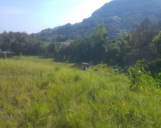 Imagem Terreno à Venda, 40 m² em Lichthenthal - Picada Café