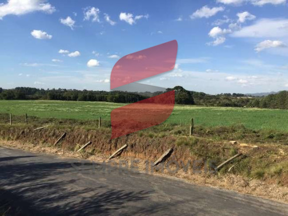 Imagem Terreno à Venda, 20.000 m² em Roseira - São José Dos Pinhais