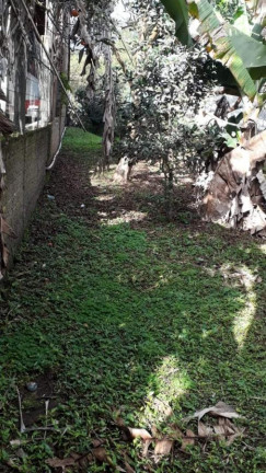 Imagem Terreno à Venda, em Arroio Da Manteiga - São Leopoldo Imagem Terreno à Venda, em Arroio Da Manteiga - São Leopoldo