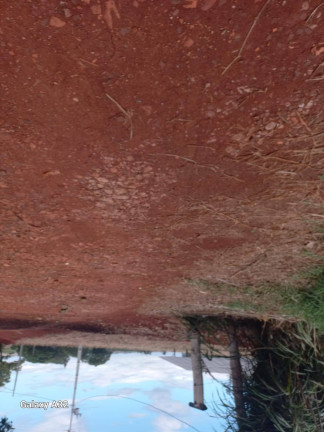 Imagem Chácara com 3 Quartos à Venda, 42.000 m² em Arapongas Imagem Chácara com 3 Quartos à Venda, 42.000 m² em Arapongas