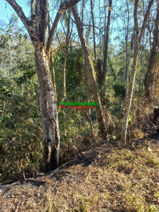 Imagem Chácara à Venda, 20.000 m² em Centro - Monteiro Lobato Imagem Chácara à Venda, 20.000 m² em Centro - Monteiro Lobato