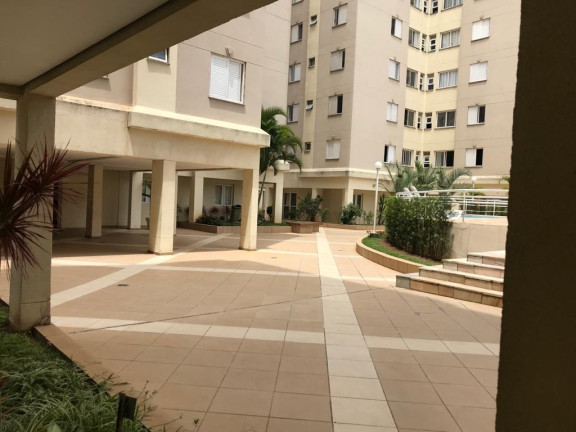Imagem Apartamento com 3 Quartos à Venda, 60 m² em Vila Formosa - São Paulo Imagem Apartamento com 3 Quartos à Venda, 60 m² em Vila Formosa - São Paulo