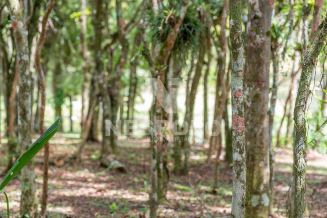 Imagem Terreno à Venda, em Rio Do Meio - Camboriu Imagem Terreno à Venda, em Rio Do Meio - Camboriu