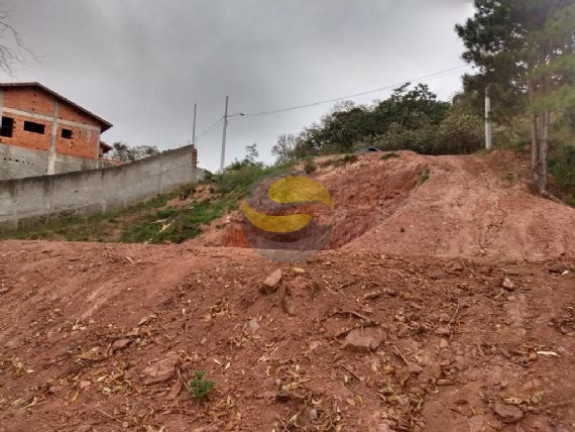 Imagem Terreno à Venda, 1.005 m² em Parque Rizzo Ii - Cotia