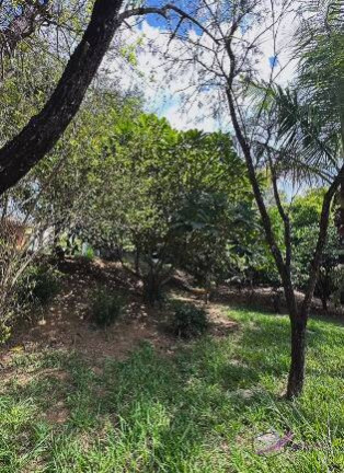 Imagem Casa com 4 Quartos à Venda, 2 m² em Ferreiras - Pedro Leopoldo