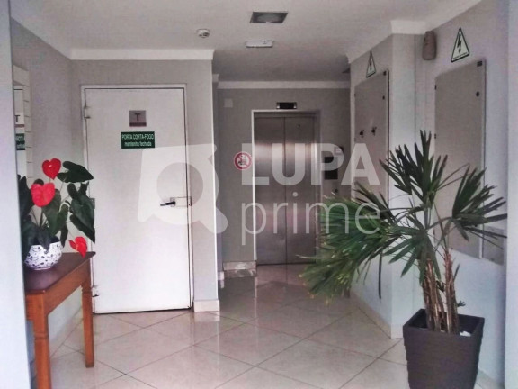 Imagem Apartamento com 3 Quartos à Venda, 67 m² em Vila Constança - São Paulo