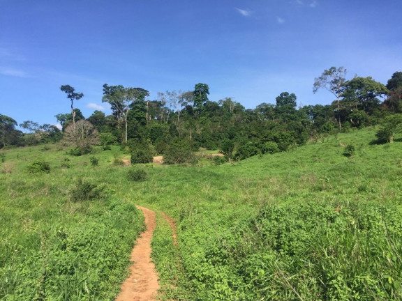 Imagem Imóvel com 2 Quartos à Venda, 113 m² em área Rural De Colatina - Colatina