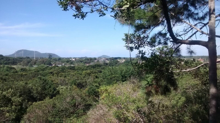 Imagem Chácara à Venda, 4.800 m² em São João Do Rio Vermelho - Florianópolis Imagem Chácara à Venda, 4.800 m² em São João Do Rio Vermelho - Florianópolis