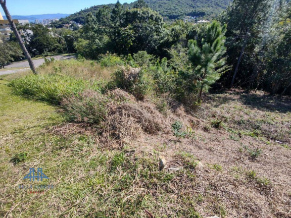Imagem Terreno à Venda, 638 m² em Itacorubi - Florianópolis