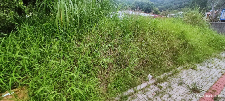 Imagem Terreno à Venda, 288 m² em Zimbros - Bombinhas Imagem Terreno à Venda, 288 m² em Zimbros - Bombinhas