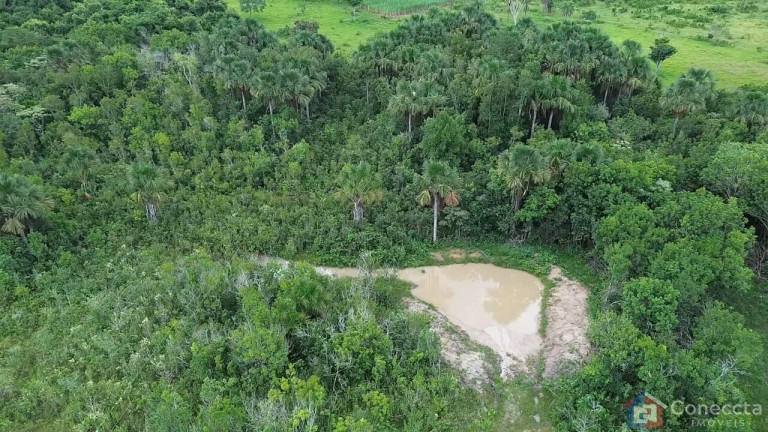 Imagem Imóvel à Venda, 48.400 m² em Centro - Prata