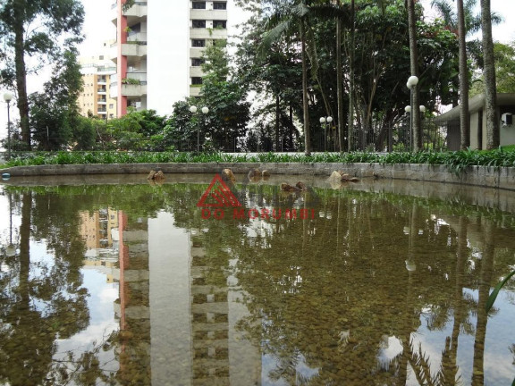 Imagem Apartamento com 4 Quartos à Venda, 440 m² em Morumbi - São Paulo