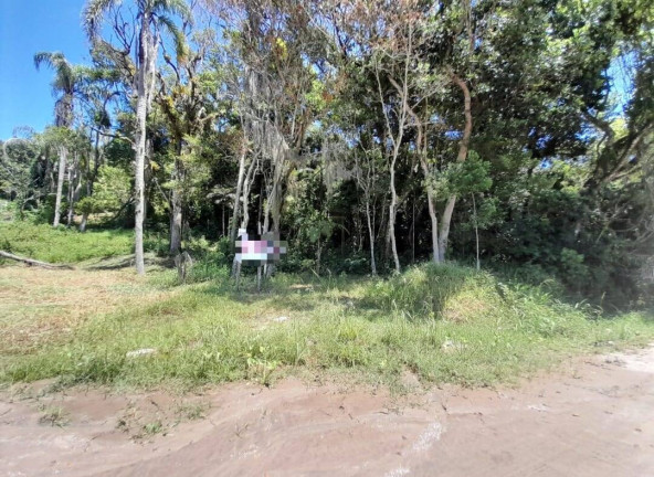 Terreno à Venda, 300 m² em Zimbros - Bombinhas