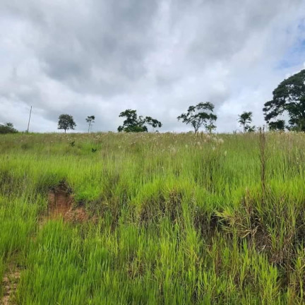 Imagem Chácara à Venda, 4 m² em Rural - Angatuba Imagem Chácara à Venda, 4 m² em Rural - Angatuba