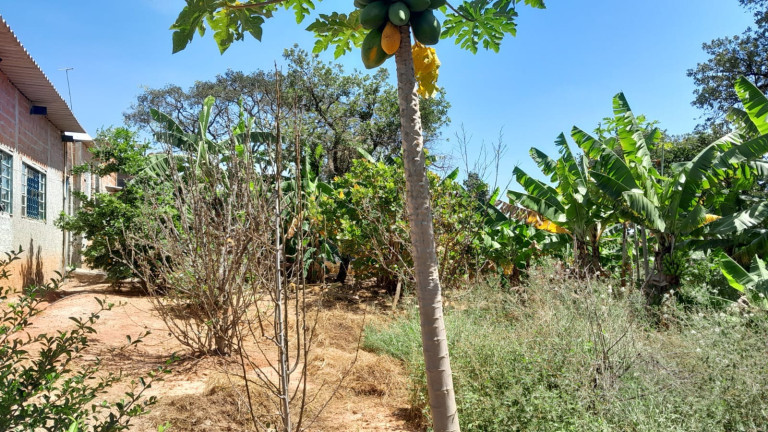 Imagem Terreno à Venda, 950 m² em Iporanga - Sorocaba