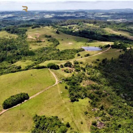 Imagem Chácara à Venda, 5.000 m² em Fiuza - Viamão Imagem Chácara à Venda, 5.000 m² em Fiuza - Viamão