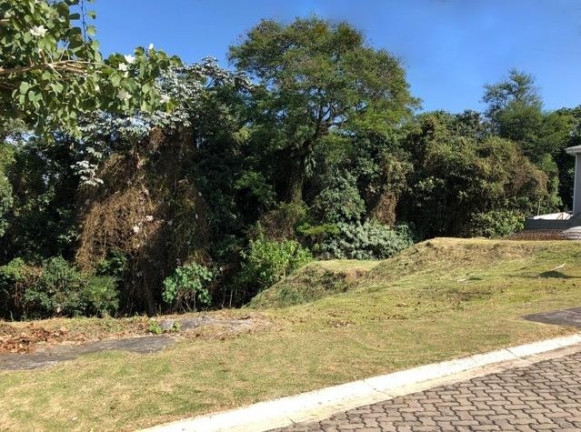 Imagem Terreno à Venda, 520 m² em Granja Viana - Cotia Imagem Terreno à Venda, 520 m² em Granja Viana - Cotia