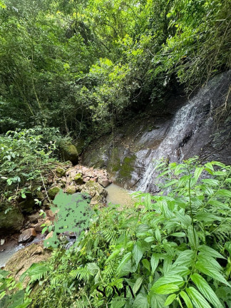 Terreno à Venda, 44.000 m² em Zona Rural - Forquetinha