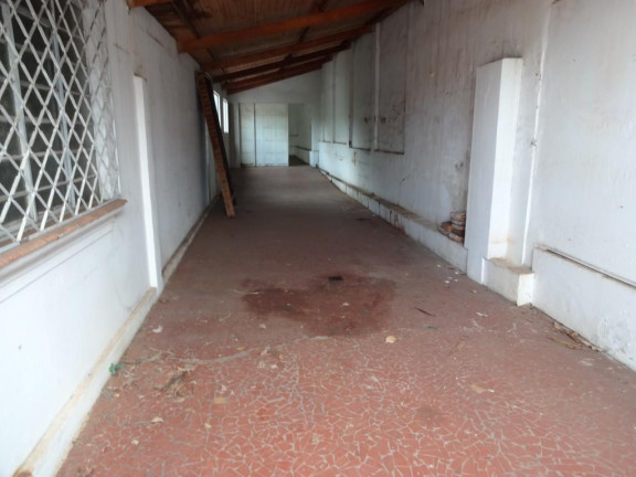 Imagem Casa com 5 Quartos à Venda, 450 m² em Centro - Piracicaba Imagem Casa com 5 Quartos à Venda, 450 m² em Centro - Piracicaba