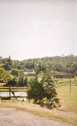 Imagem Terreno à Venda, em Urubuquara - Garuva Imagem Terreno à Venda, em Urubuquara - Garuva
