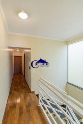 Imagem Sobrado com 3 Quartos para Alugar, 257 m² em Jardim Paraíso - Santo André Imagem Sobrado com 3 Quartos para Alugar, 257 m² em Jardim Paraíso - Santo André