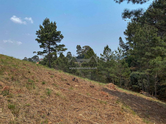 Imagem Terreno à Venda, 1 m² em Vale Encantado - Campos Do Jordão Imagem Terreno à Venda, 1 m² em Vale Encantado - Campos Do Jordão